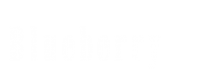 Логотип компании BLUEBERRY