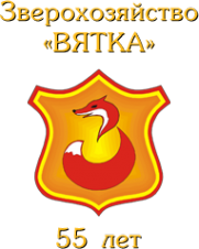 Логотип компании Вятка